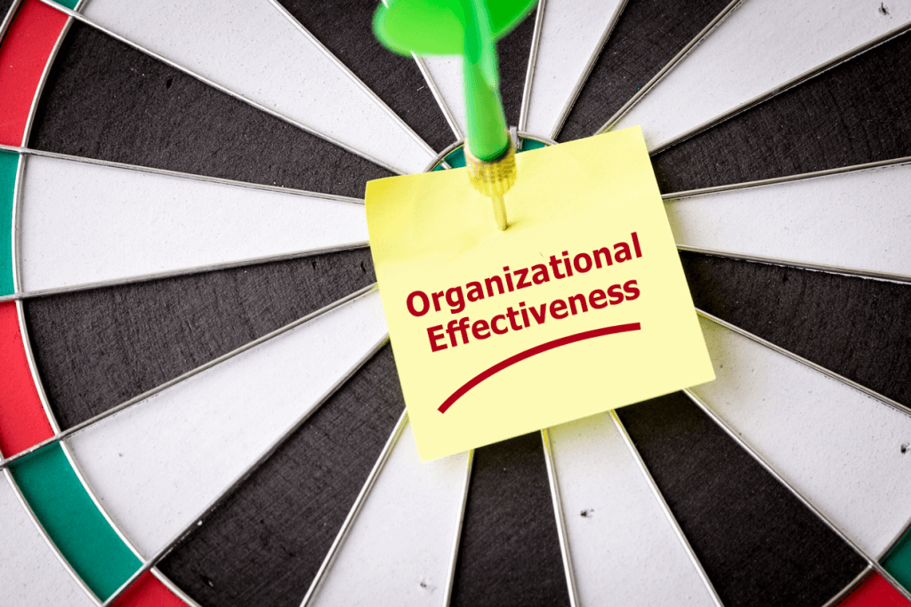 Organizational Effectiveness Definition By Authors