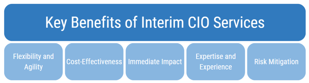  Interim CIO services