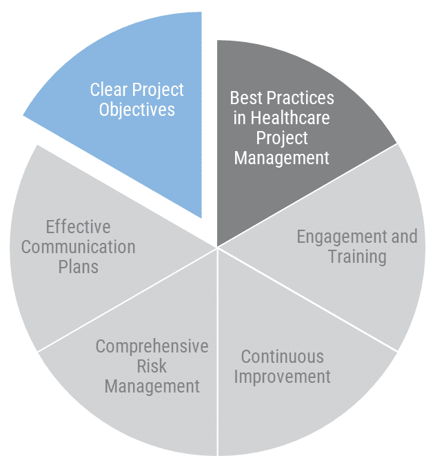 Healthcare Project Manager