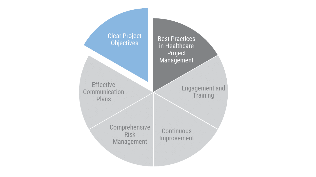 Healthcare Project Manager