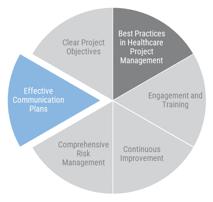 Healthcare Project Manager