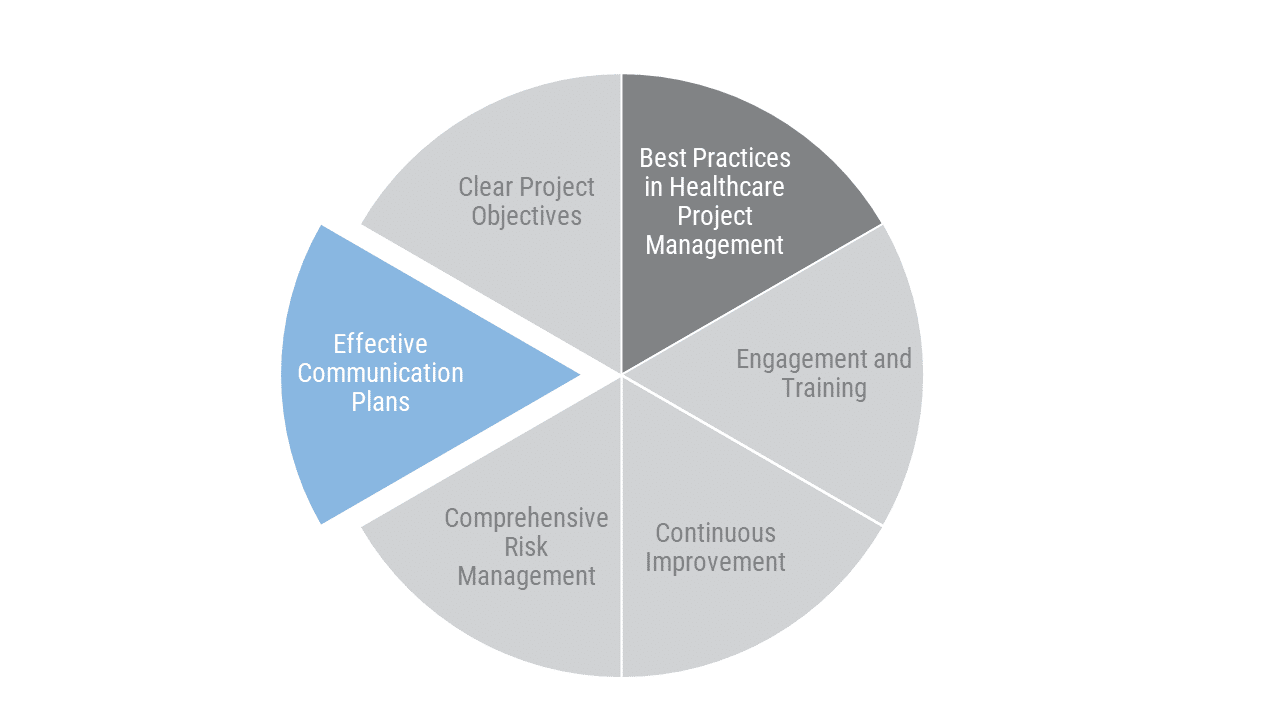 Healthcare Project Manager