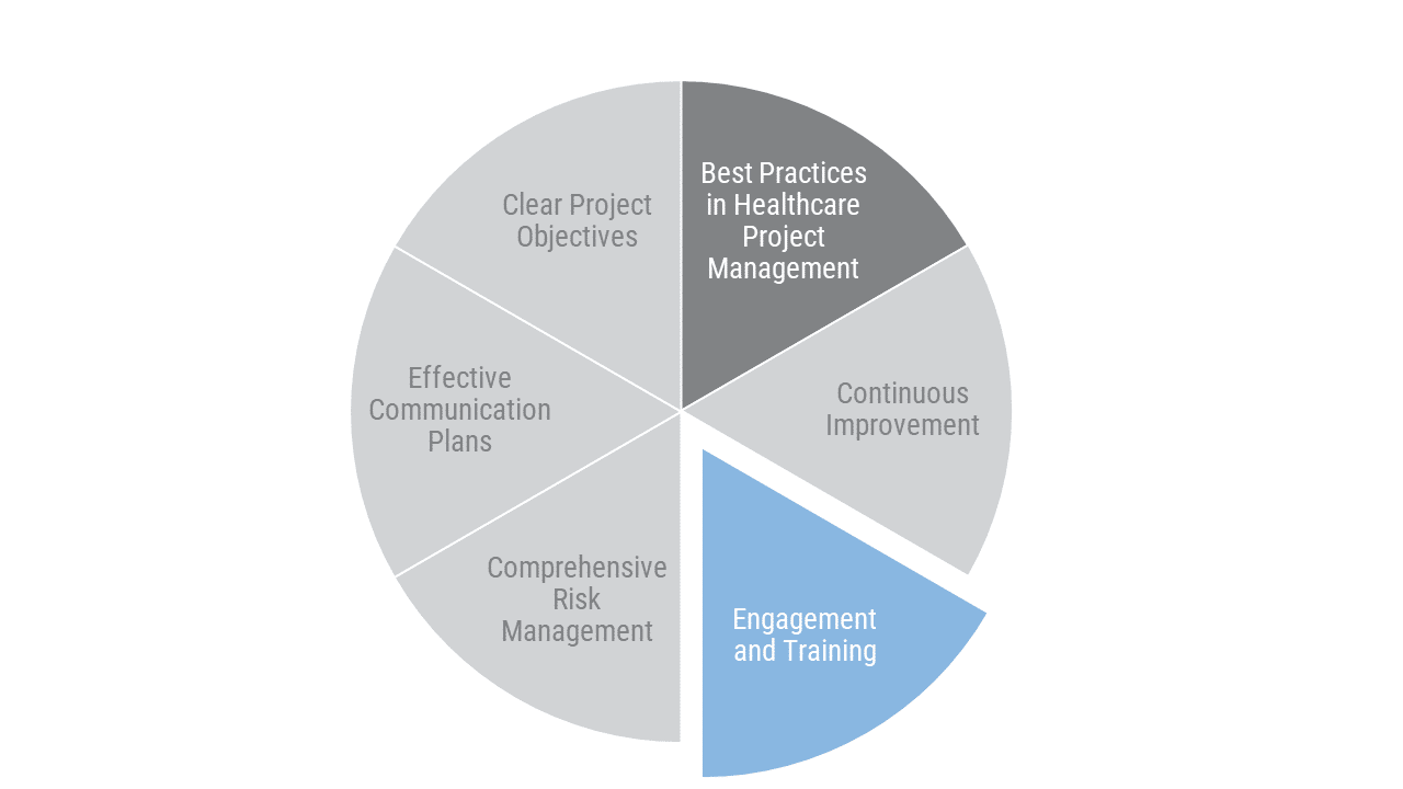 Healthcare Project Manager