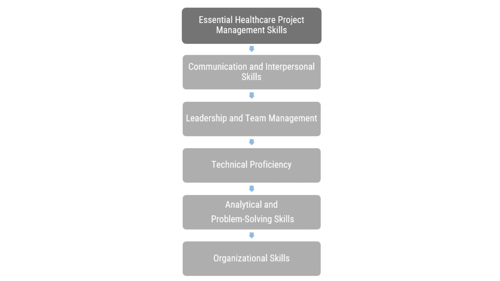 Healthcare Project Manager