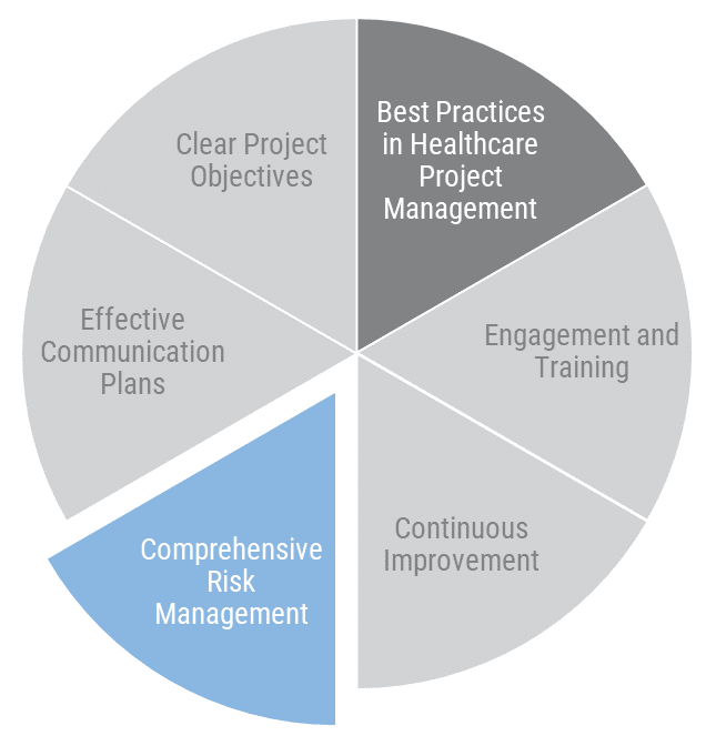 Healthcare Project Manager